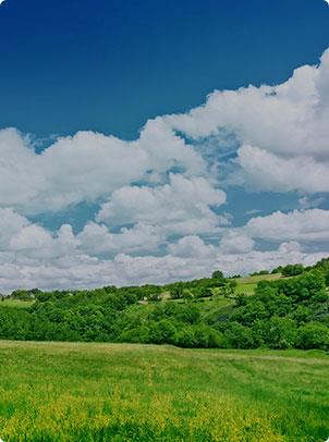 ��ʱ������(�й���)�������ǲ�!